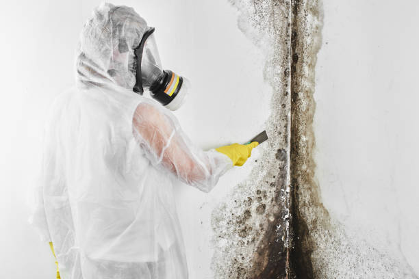 Best Mold Testing  in St Clair, MO