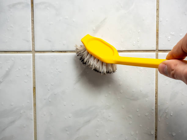 Best Professional Mold Removal  in St Clair, MO