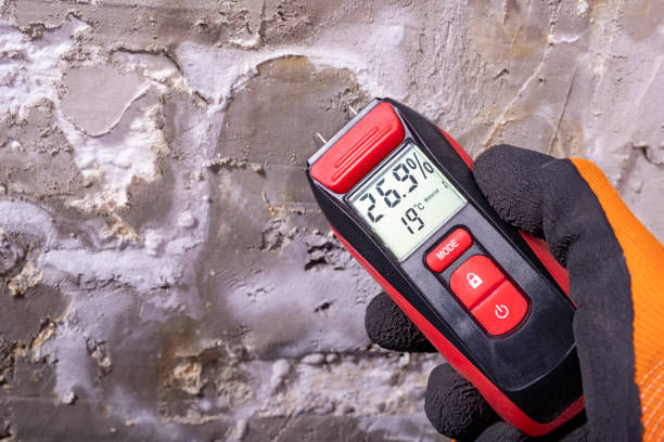 Best Commercial Mold Removal  in St Clair, MO