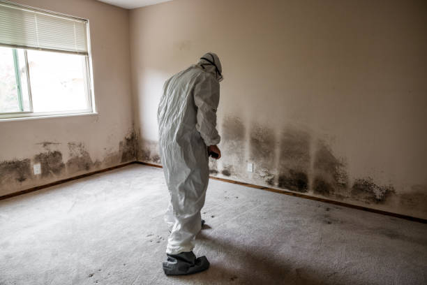 Best Crawl Space Mold Removal  in St Clair, MO
