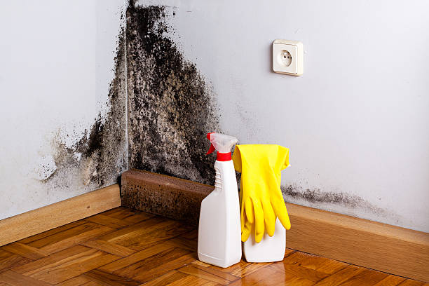 Best Emergency Mold Removal  in St Clair, MO