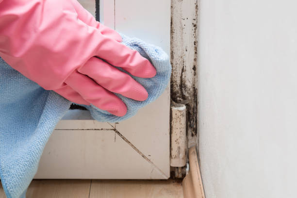 Best Mold Testing  in St Clair, MO